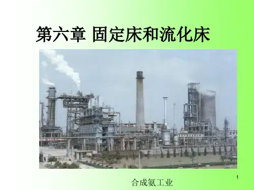 第六章 固定床