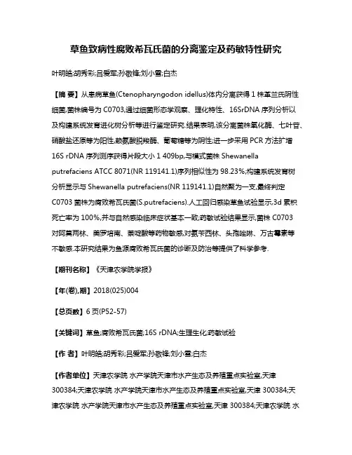 草鱼致病性腐败希瓦氏菌的分离鉴定及药敏特性研究