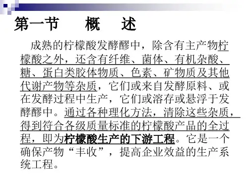 第七章柠檬酸提取工艺课件