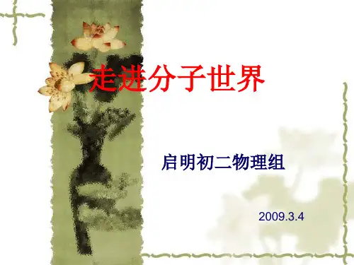 走进分子世界(12)