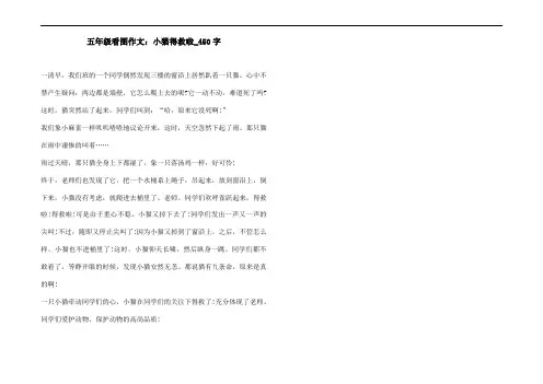 五年级看图作文：小猫得救啦_450字