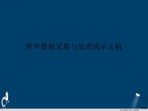 野外数据采集与处理演示文稿