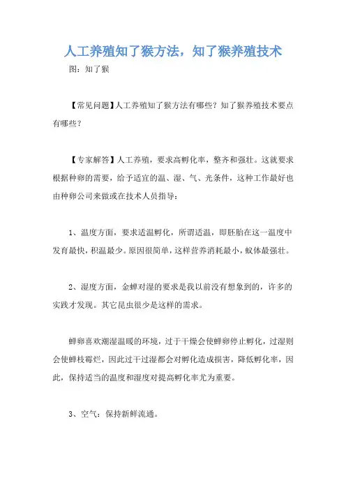 人工养殖知了猴方法,知了猴养殖技术