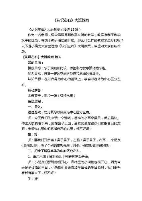 《认识左右》大班教案（精选16篇）