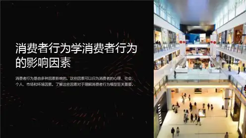 消费者行为学消费者行为的影响因素