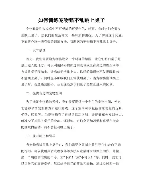 如何训练宠物猫不乱跳上桌子