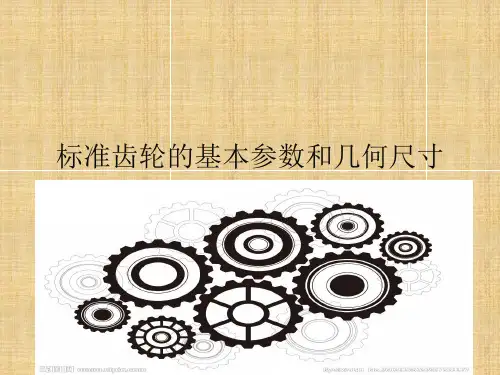 标准齿轮