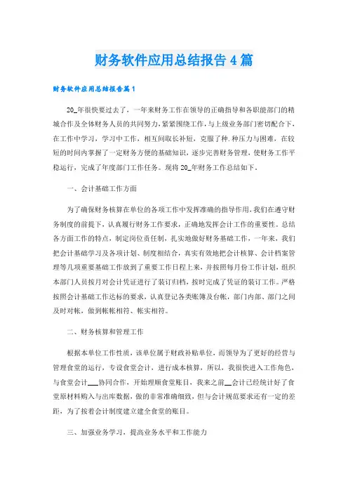 财务软件应用总结报告4篇