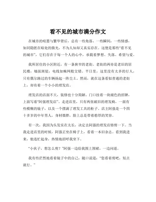 看不见的城市满分作文