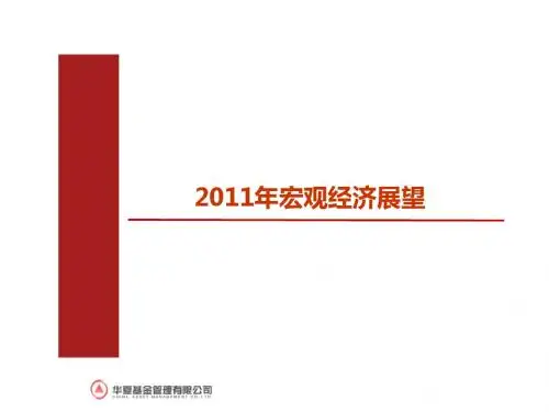2011宏观经济形势-文档资料