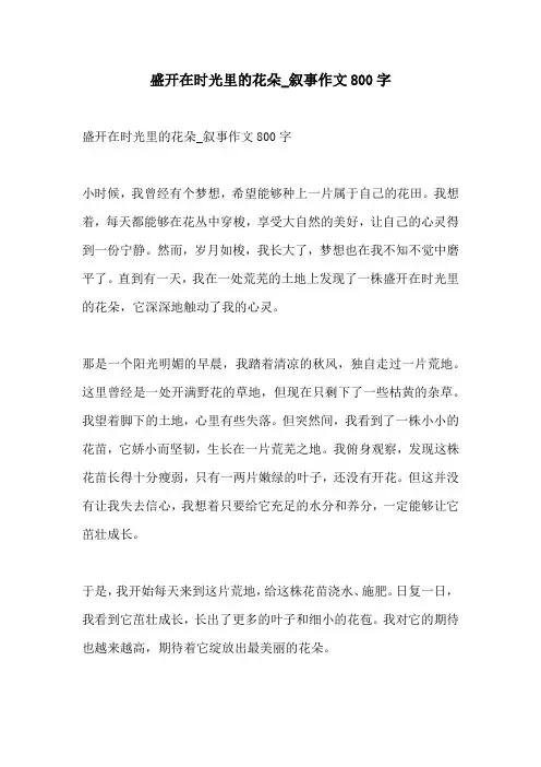 盛开在时光里的花朵叙事作文800字
