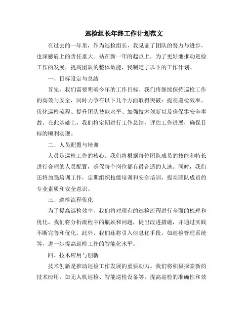 巡检组长年终工作计划范文