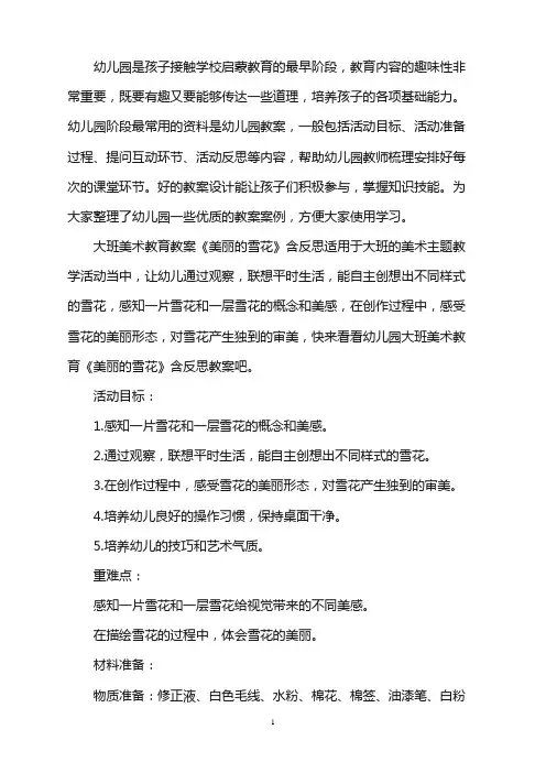 幼儿园大班美术教育教案《美丽的雪花》含反思word版