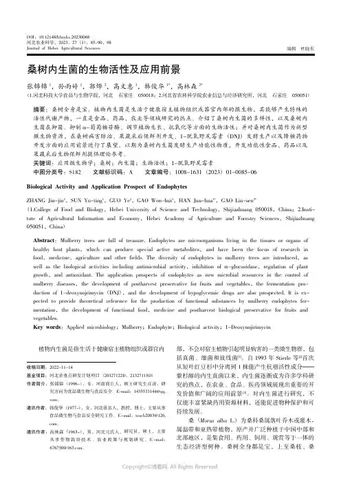 211021823_桑树内生菌的生物活性及应用前景