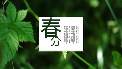 小清新春天通用PPT模板