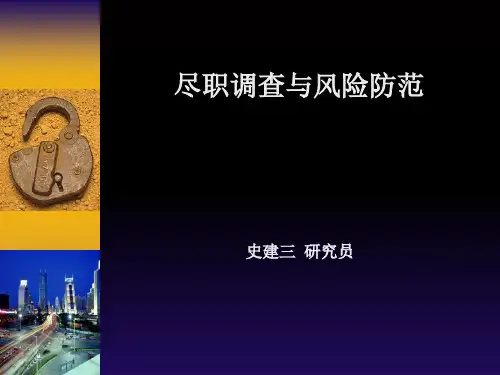 律师证券业务尽职调查PPT课件