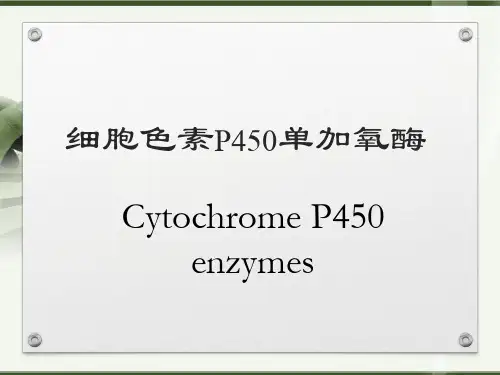细胞色素P45001
