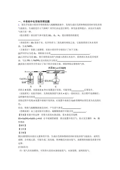 中考化学易错题专题复习-探究题练习题附详细答案
