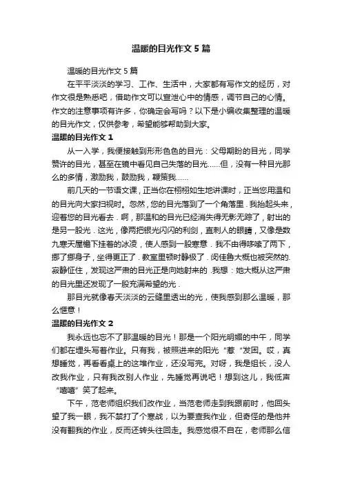 温暖的目光作文5篇