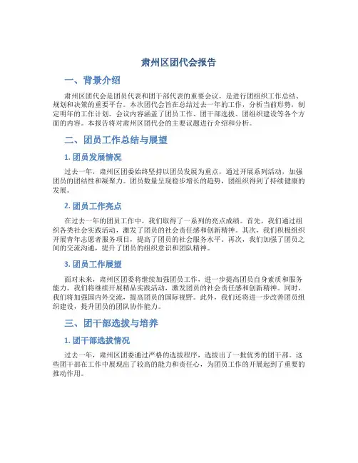 肃州区团代会报告