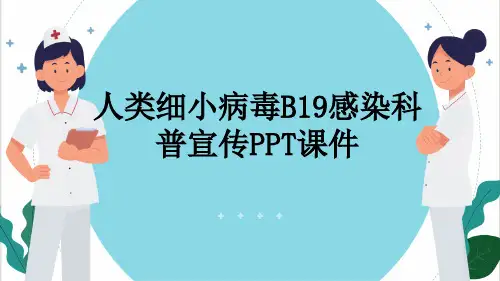 人类细小病毒B19感染科普宣传PPT课件