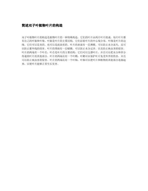 简述双子叶植物叶片的构造