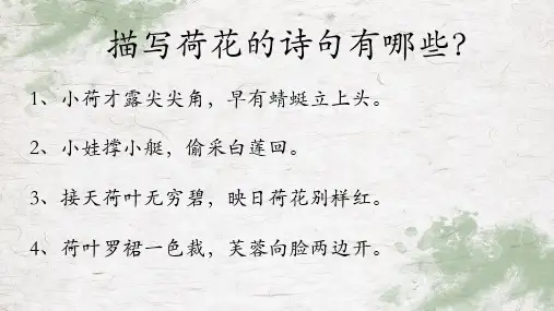 部编版三年级语文下册3.《荷花》课件(共17张PPT)(1)