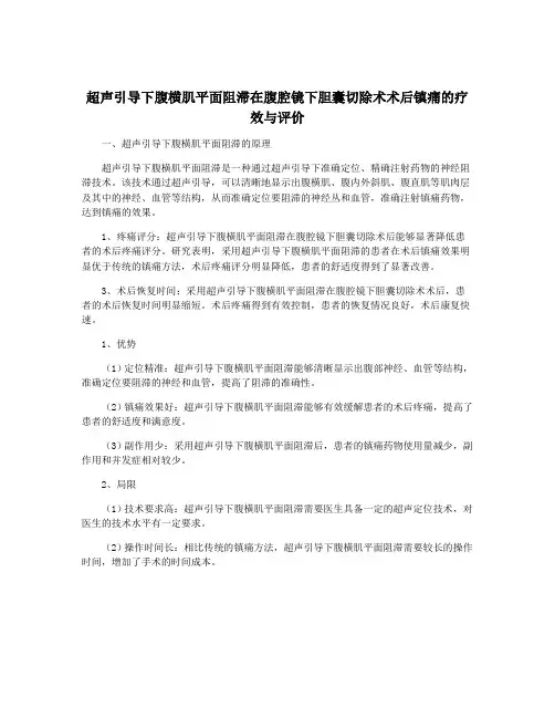 超声引导下腹横肌平面阻滞在腹腔镜下胆囊切除术术后镇痛的疗效与评价