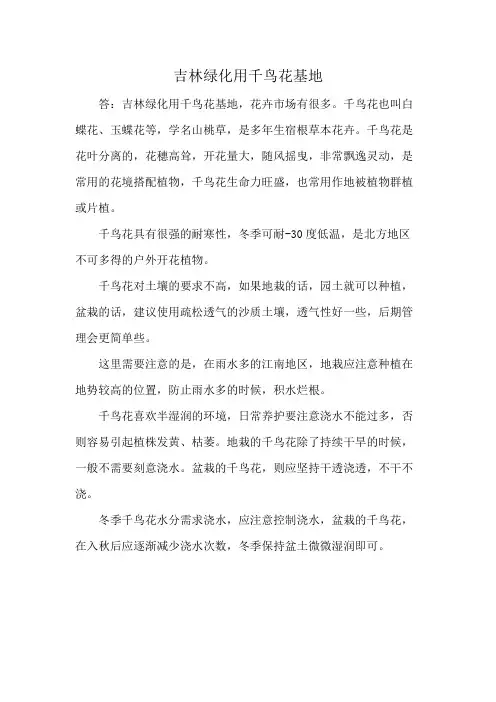 吉林绿化用千鸟花基地