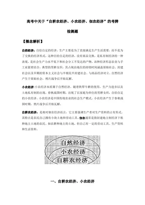 高考中关于“自耕农经济、小农经济、佃农经济”的考辨 检测题 --2023届高三历史三轮复习(含解析)