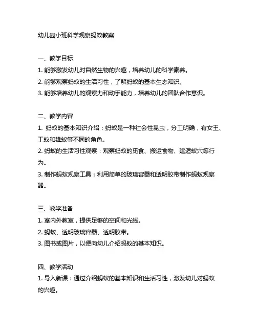 幼儿园小班科学观察蚂蚁教案 幼儿园科学教育