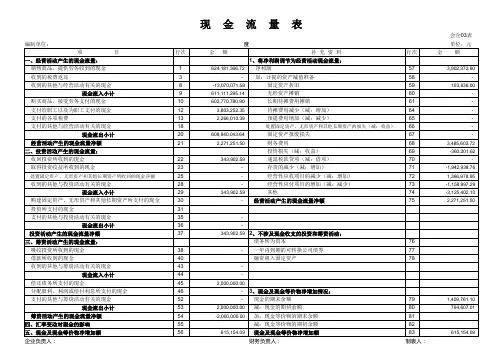 2022自动编制现金流量表(最新版)