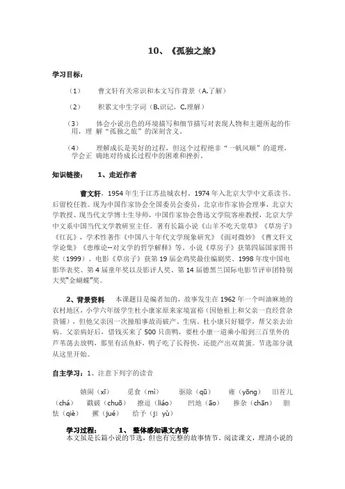 10《孤独之旅》12《心声》导学案