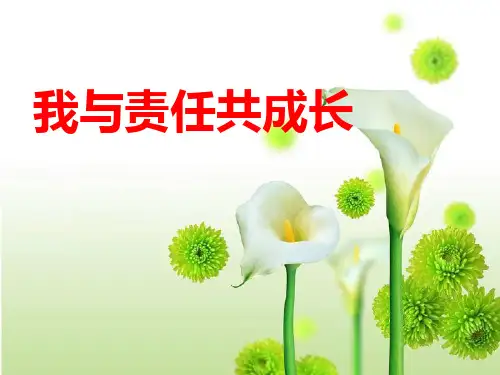 德育主题班会课件 我与责任共成长