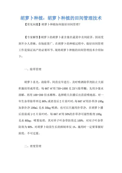 胡萝卜种植：胡萝卜种植的田间管理技术