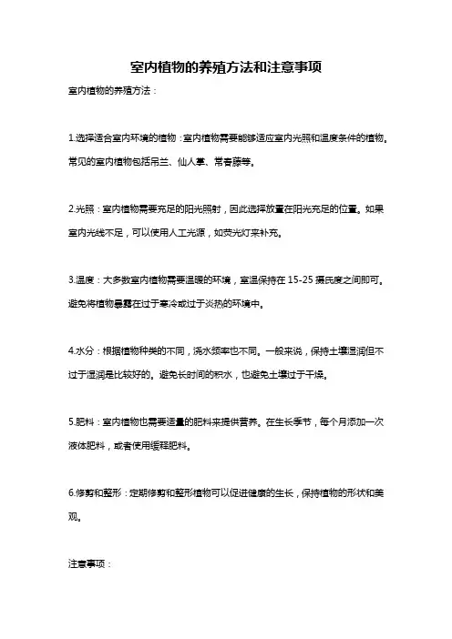 室内植物的养殖方法和注意事项