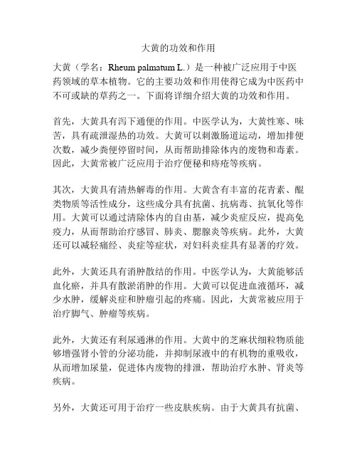 大黄的功效和作用