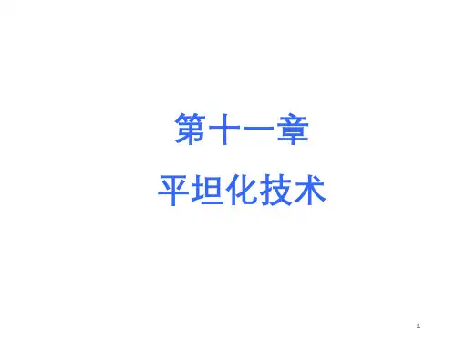第11章 平坦化技术