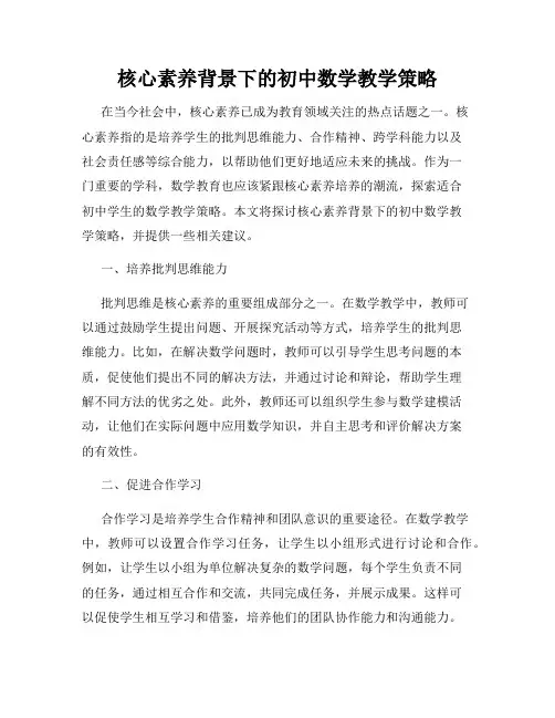 核心素养背景下的初中数学教学策略