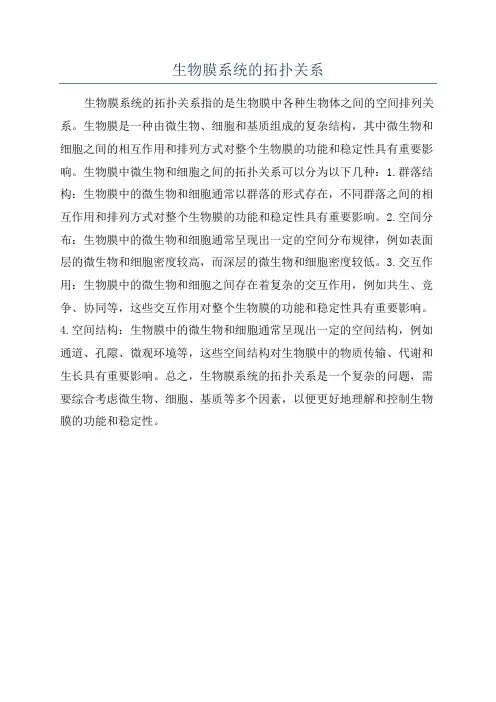 生物膜系统的拓扑关系