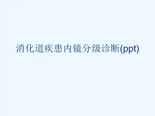 消化道疾患内镜分级诊断(ppt)