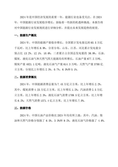2024年中国能源行业分析报告