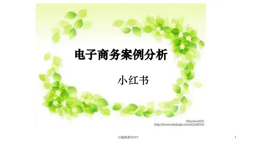 电子商务案例分析ppt课件
