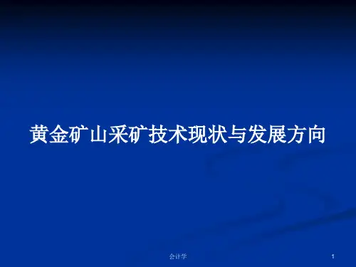 黄金矿山采矿技术现状与发展方向PPT学习教案