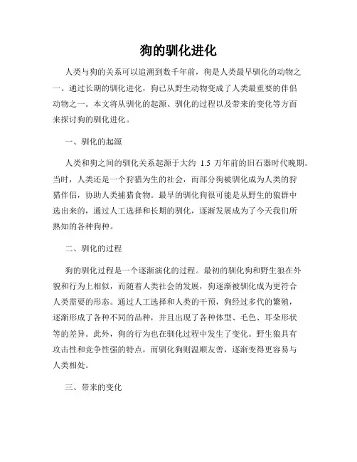 狗的驯化进化