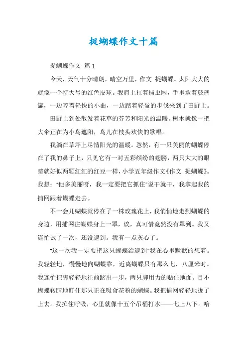 捉蝴蝶作文十篇