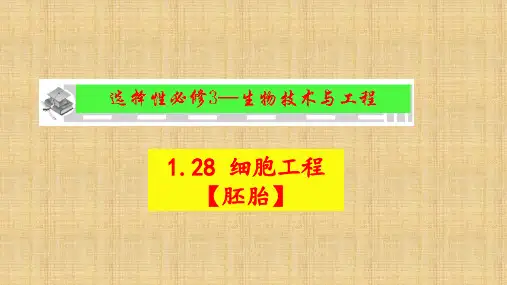 【课件】高三生物一轮复习课件+细胞工程【胚胎】