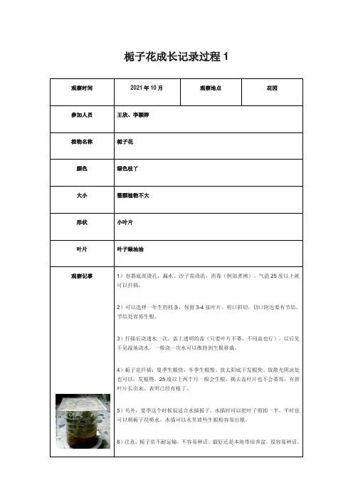 小学三年级植物记录卡栀子花