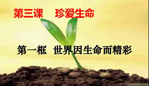 初中 世界因生命而精彩第三课第一框 精品PPT课件