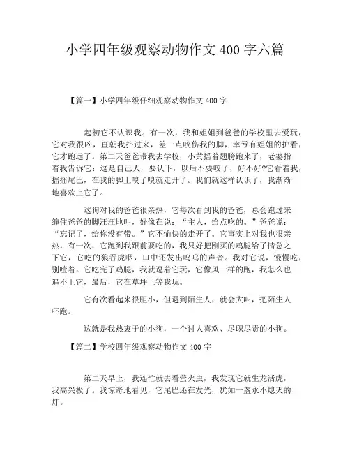 小学四年级观察动物作文400字六篇